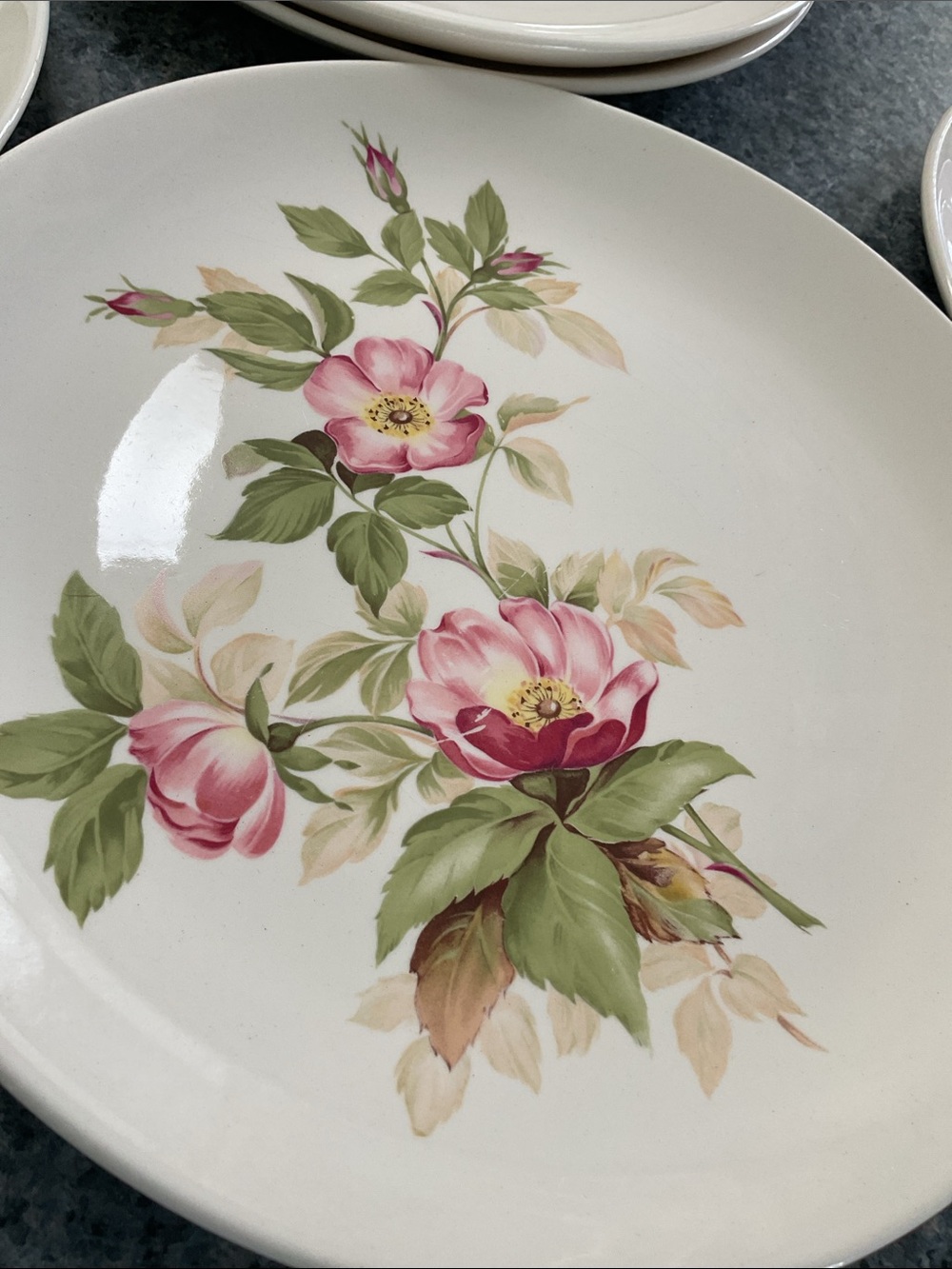 Limoges 5 Briar Rose dinner plates. 1950s